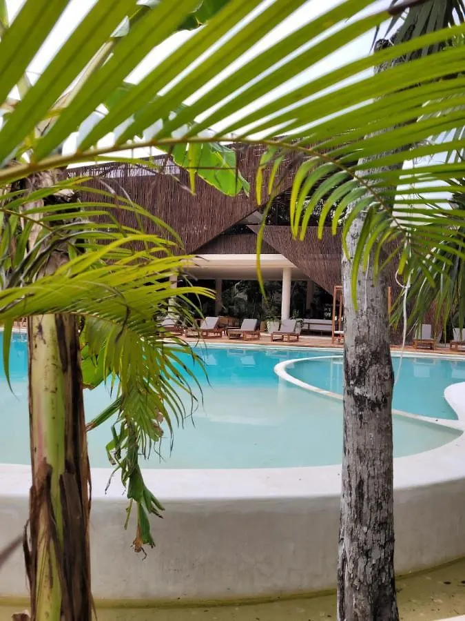 Luxurious Jungle Studio Tulum 0*,  Mexico
