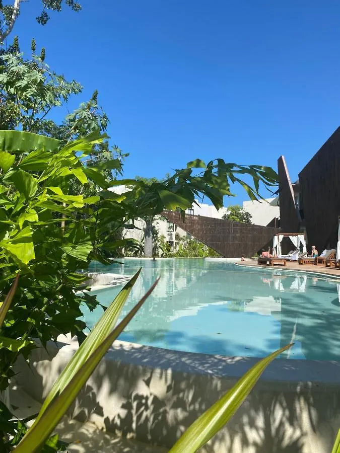 Luxurious Jungle Studio Tulum 0*,