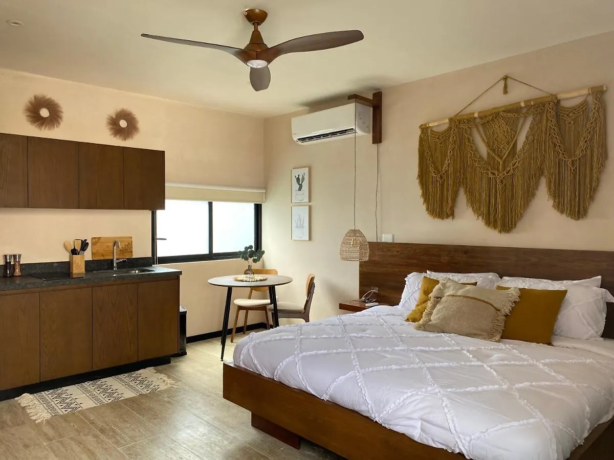Luxurious Jungle Studio Tulum Mexico