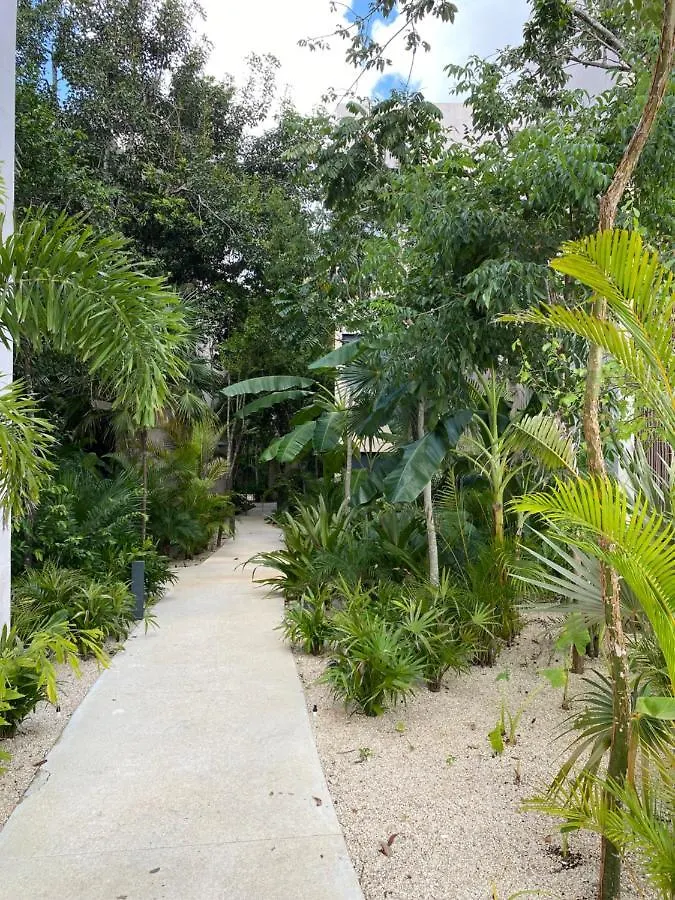 Luxurious Jungle Studio Tulum Mexico