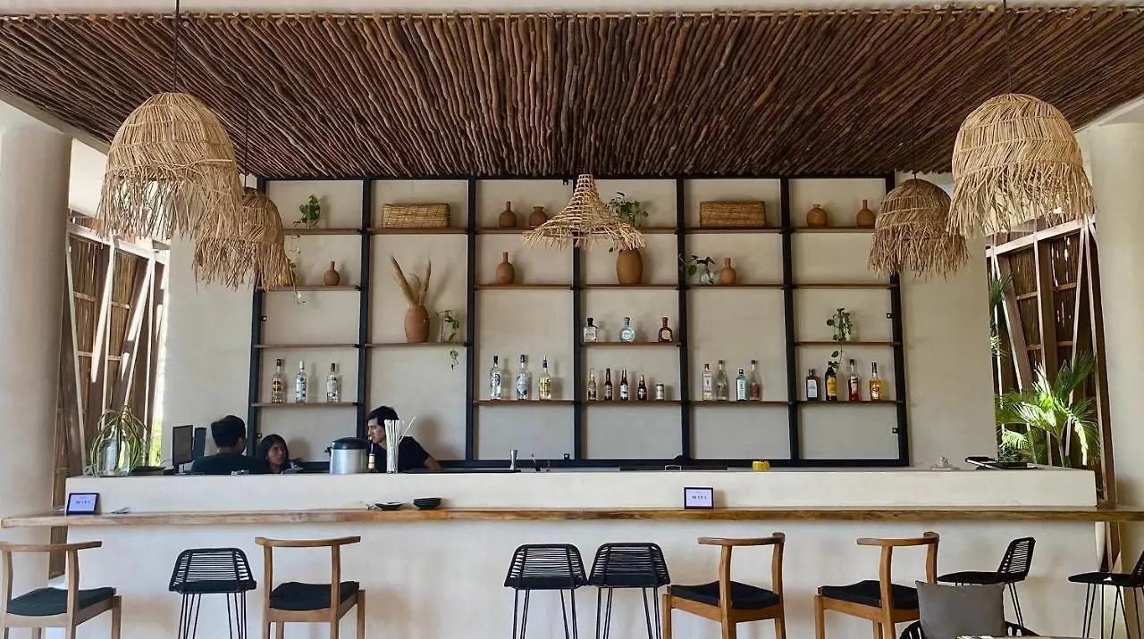 Luxurious Jungle Studio Tulum Apartment